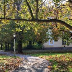Béke park