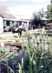 81-majori_haz