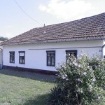 P7210005