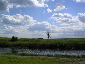 SANY0041