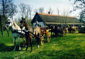 Tanyamúzeum fogatokkal(Mihalik) (1)