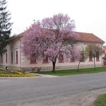 Községháza